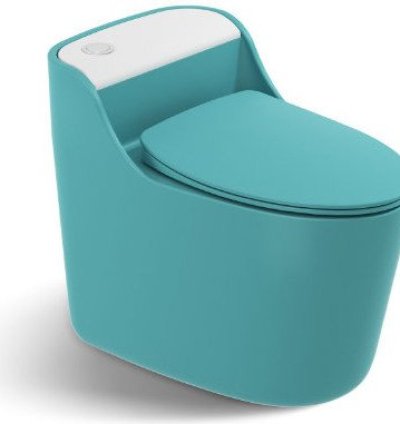 Toilet – Model 80