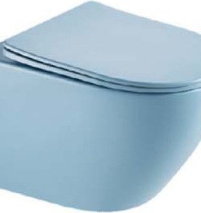 Toilet – Model 100