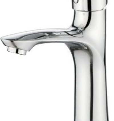 Faucet & Shower Head – Model 63